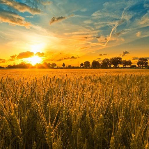 A blog for Devotionals, Scriptures, and Encouragement to help feed your spirituality. #NLW #JumpStart #God #Love #Inspiration #Hope
