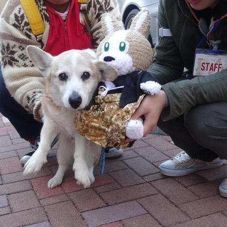 tar410's profile picture. 犬・ネコ・競馬　その他しょーもない事をアレコレと喋ってます