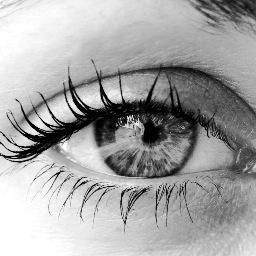 Monique_Beaudry's profile picture. Directrice Générale de clinique publique à gestion privée