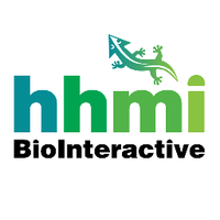 HHMI BioInteractive(@BIOINTERACTIVE) 's Twitter Profile Photo