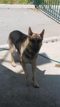 Ilija69I's profile picture. 