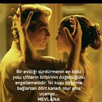 SARDUNYA45 (@sardunya45) 's Twitter Profile Photo