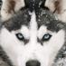 Luis Zacarias (@luisza150) Twitter profile photo Luis Zacarias (@luisza150) Twitter profile photo