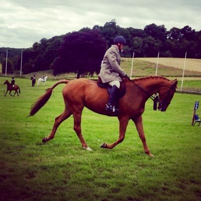 Riding Instructor and Freelance Equestrian Coach. Northern Ireland. See Aldertree Equine on facebook for more details.