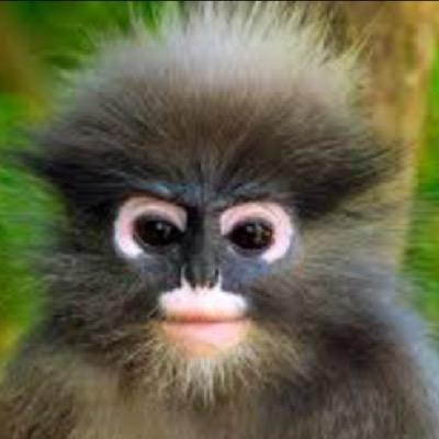 spudnose's profile picture. hols