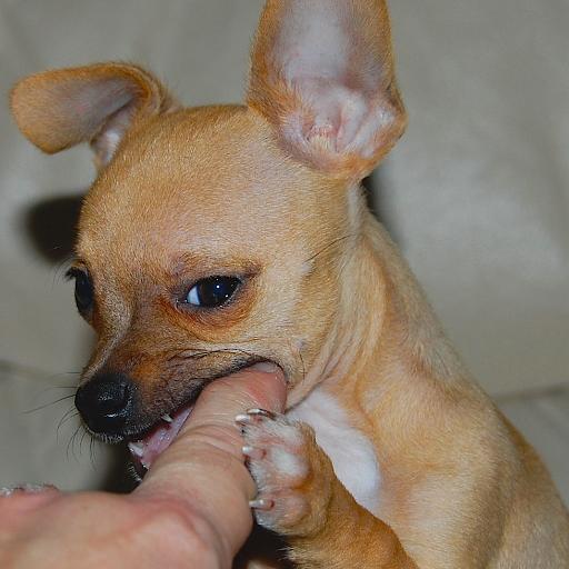 tweetsfromtimmy's profile picture. 