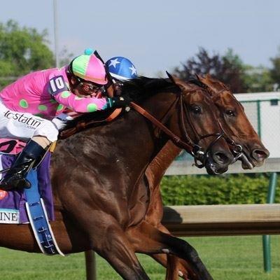 unoffical account 
winner of the 2015 sunland derby
owned by arnold zetcher 
line of david - sister girl blues