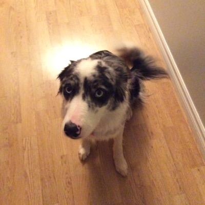 jassonkmckenna's profile picture. 