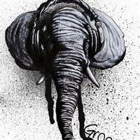 Elephant Ear Music (@ee_musicblog) 's Twitter Profile