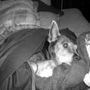 Paul Ogle - @paule1010 - Twitter