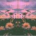 flowers (@unisoul_) Twitter profile photo flowers (@unisoul_) Twitter profile photo