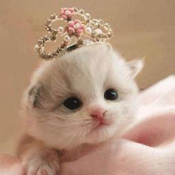 omprakashvarm's profile picture. 