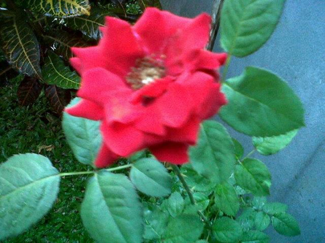 tik2sricantika's profile picture. Miliki NYALI, yaitu keberanian diatas rata2.