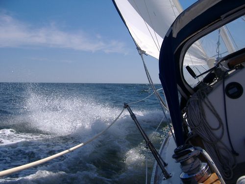 mrinkel's profile picture. 