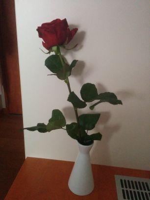 NoeleneRw's profile picture. 