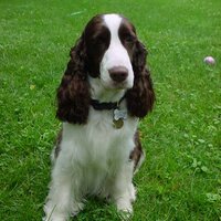 @UPTOWNGIRL2008 (@uptowngirl2008) 's Twitter Profile Photo