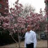 nivarthi61's profile picture. CA