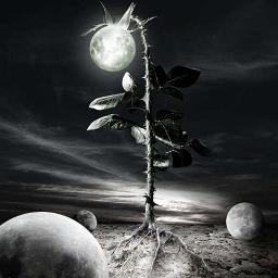 Mimi_chinwe's profile picture. 