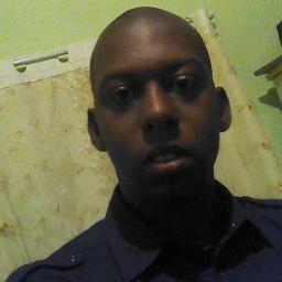 davidubiratan's profile picture. Desenvolvedor Front/Back End.