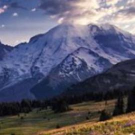 chinookpassnews's profile picture. News, information, and resources for Chinook Pass and the Mount Rainier National Park.