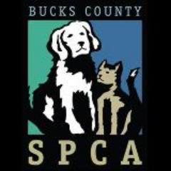 BCSPCA was founded in 1912 to educate pet owners, enforce cruelty laws and prevent the suffering of animals in and around Bucks County PA.