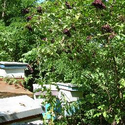 zdravljezavas's profile picture. 