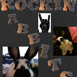 This is the official twitter page for my Youtube channel and facebook page. Feel free to check out my channel and follow us on Facebook, Twitter and Instagram