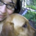 Laura Parisi (@mydogischelsea) Twitter profile photo Laura Parisi (@mydogischelsea) Twitter profile photo