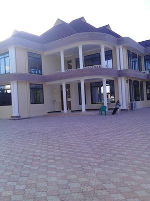 dogom91's profile picture. 