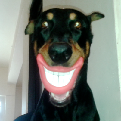 mmmaria_ddxever's profile picture. 14 de Nov. 1983 ... Lic en Arquitectura, Universidad de Guadalajara.