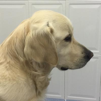 aliciaamolucas's profile picture. 