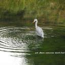 Port Alberni - @PortAlberniBC - Twitter