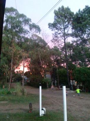 grupy14's profile picture. 