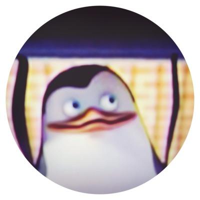 ▶︎The PENGUINS of MADAGASCAR♡private♡ *॰ْ✧ً⋆｡˚ follow me⋆｡˚✩