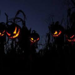 The Biggest Pumpkin Beer Festival In The World