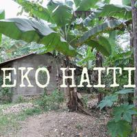 Eko Haiti Tourism (@eko_haiti) 's Twitter Profile