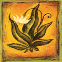 The Four Agreements (@thefouragreemts) 's Twitter Profile Photo The Four Agreements (@thefouragreemts) 's Twitter Profile Photo