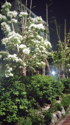 pynn7312u's profile picture. 