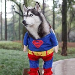 froklen's profile picture. Внимательна к словам