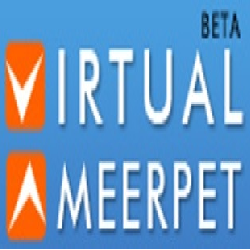 Virtual ameerpet offering WORKDAY Online Training.Our WORKDAY online training is one of the Best online training across the globe.