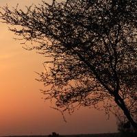 Gee Smriti (@geesmriti) 's Twitter Profile