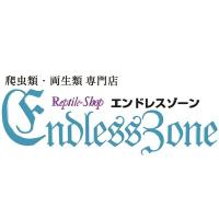 Endlesszone_エンドレスゾーン_ (@enzou2015) 's Twitter Profile Photo Endlesszone_エンドレスゾーン_ (@enzou2015) 's Twitter Profile Photo