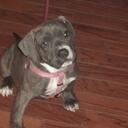 Rhonda Coles - @jmcnrsc - Twitter