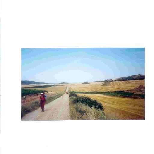 riaopdenkelder's profile picture. 