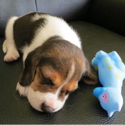 maoyang911's profile picture. 