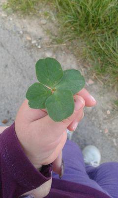 drcvetinovic's profile picture. 