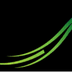 PhoenixToledo's profile picture. 