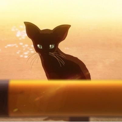 携帯ゲーム専٩(ˊᗜˋ*)و •黒ウィズ (ランク177) •パズドラ(300台前半) •白猫(60台) フレンド、絡み、フォロー待ってますヽ(•ㅂ•)/ 黒、白猫プレイヤーの皆様無言フォローお許しください!
