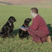Award-winning photojournalist – Kevin Milner (@milnerkevin) 's Twitter Profile