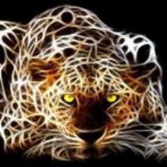 STEELTECH123's profile picture. 